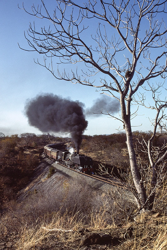 NRZ 15A class 4-6-4+4-6-4 'Garratt' steam locomotive no. 407 'Ukhozi' ('Eagle') north ofThomson Junction, Zimbabwe