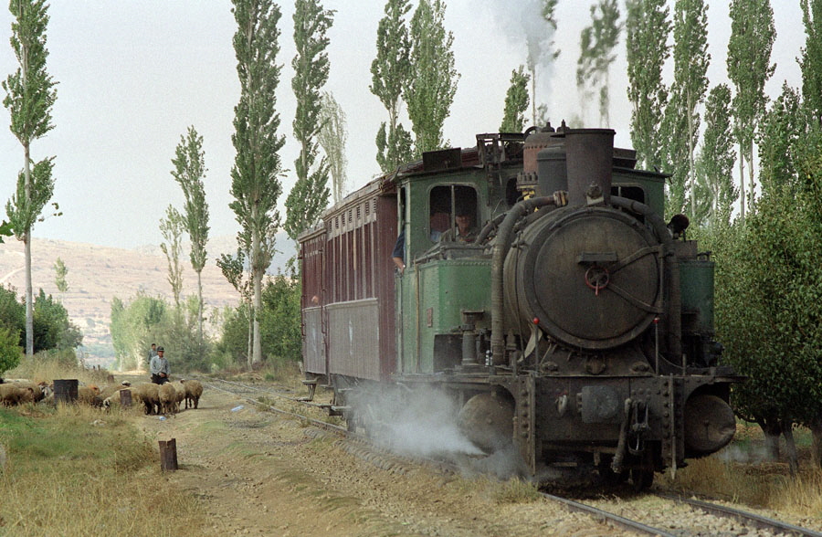 Steam locomotive with train returning to Damascus from Serghaya, Hedjaz Railway, Syria