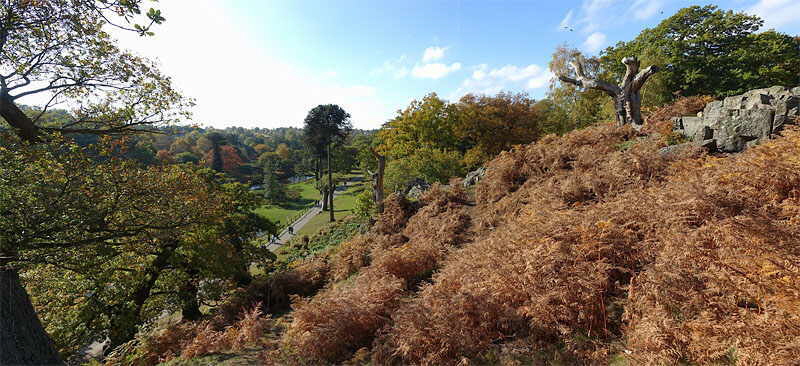 Bradgate Park, Leicestershire, Panorama photograph with "Little Matlock"